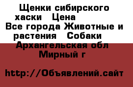 Щенки сибирского хаски › Цена ­ 12 000 - Все города Животные и растения » Собаки   . Архангельская обл.,Мирный г.